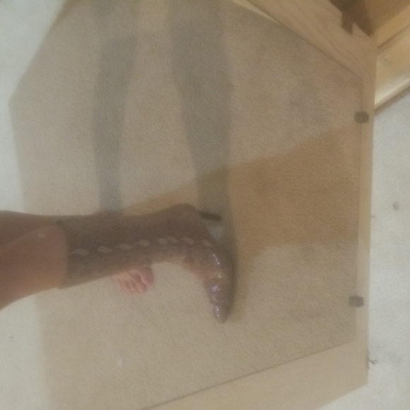 Snakeskin Boots - Picture 13 of 15